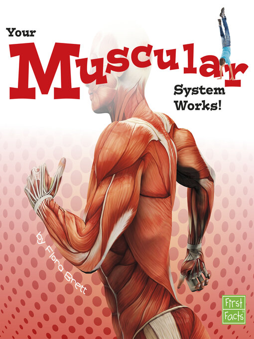 Title details for Your Muscular System Works! by Flora Brett - Available